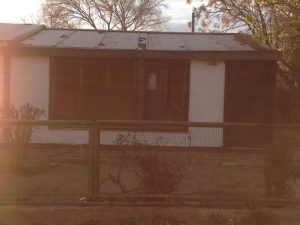 Ellos montan actos y los caballos aplauden