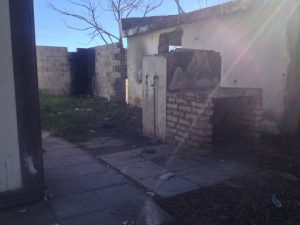 Ellos montan actos y los caballos aplauden