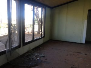 Ellos montan actos y los caballos aplauden