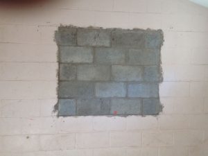 Ellos montan actos y los caballos aplauden