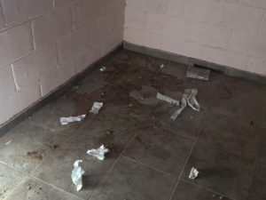 Ellos montan actos y los caballos aplauden