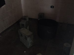 Ellos montan actos y los caballos aplauden