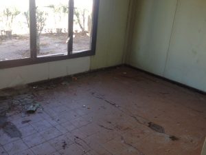 Ellos montan actos y los caballos aplauden